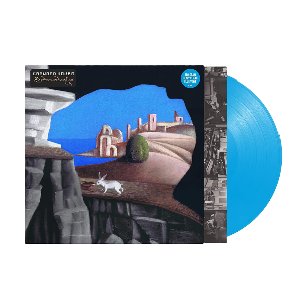 Dreamers Are Waiting LP Blue